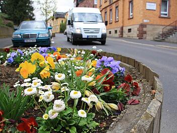 Schön bepflanzt und dennoch ein Zankapfel: Die sieben Pflanzkübel in der Bad Kissinger Schönbornstraße haben nach dem Bauausschuss auch den Stadtrat beschäftigt. Das Ergebnis war knapp, aber am Ende wie im Bauausschuss: Die Kübel bleiben vorerst. Foto: Ralf Ruppert