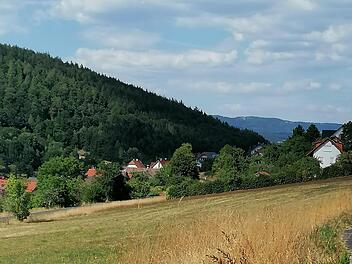 Hier entsteht das neue Baugebiet "Barnsteiner Feld" in Riedenberg. Bauinteressenten sollen sich schnellstmöglich bei Bürgermeister Roland Römmelt melden, da die Überplanung bedarfsgerecht durchgeführt werden wird. Foto: Evelyn Schneider