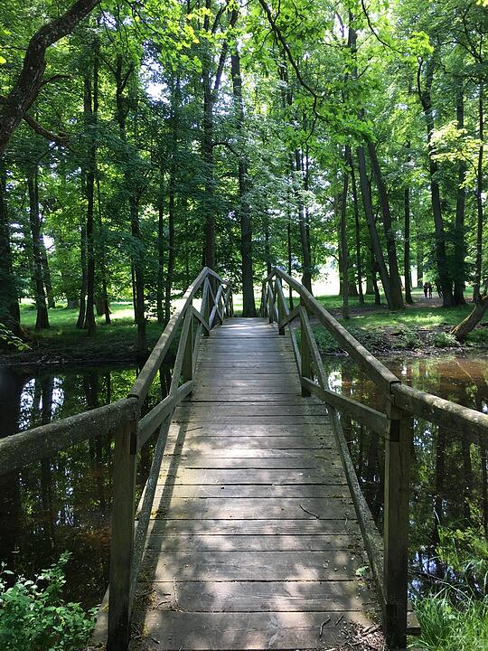 Ein Weg ein noch so schmaler Steg
