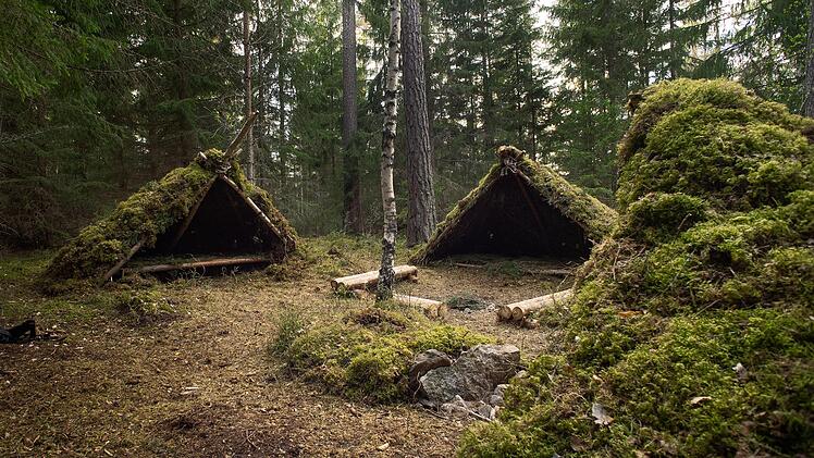 Survival, Prepping, Camp, Wald