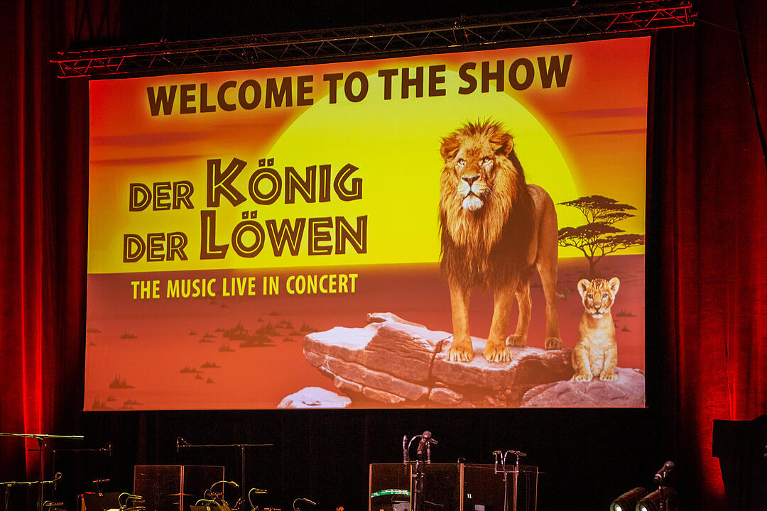 Hakuna Matata in Bamberg!
