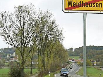 Aus zwei wird eins? Ob am Radweg neben der Staatsstraße wieder eine echte Allee gepflanzt wird, steht noch in den Sternen. Fest steht aber: Die 62 alten Pappeln werden gefällt. Foto: Berthold Köhler
