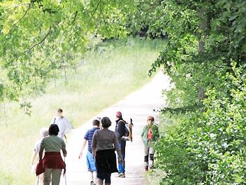 Der Wald- und Feldweg von Dittersbrunn zum Veitsberg wird - vor allem an Sonn- und Feiertagen - von Hunderten als Wanderweg benutzt. Ein Sperrschild soll den Autoverkehr fern halten - tut es aber nicht.