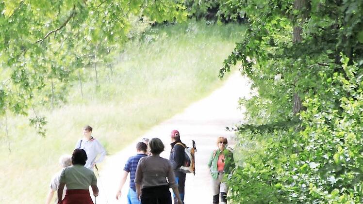 Der Wald- und Feldweg von Dittersbrunn zum Veitsberg wird - vor allem an Sonn- und Feiertagen - von Hunderten als Wanderweg benutzt. Ein Sperrschild soll den Autoverkehr fern halten - tut es aber nicht.