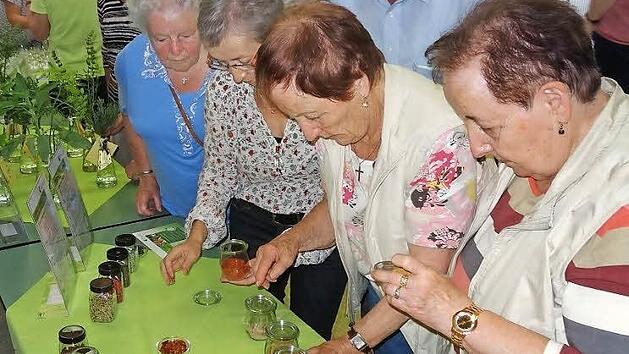 Die Dienstagswanderer des Rh&ouml;nklubs Bischofsheim erfuhren an den themenspezifischen Genuss- und Bewegungsinseln, wie eine bewusste Ern&auml;hrung mit n&auml;hrstoffreichen Lebensmitteln und t&auml;glichen Bewegungseinheiten in fortgeschrittenem Alter im Alltag m&ouml;glich ist.  Foto: Marion Eckert