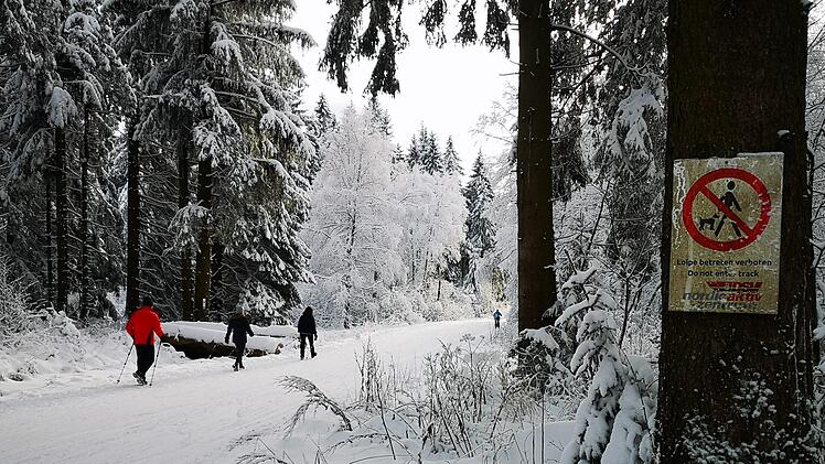 Nicht deutlich genug? Die Verbotsschilder im Loipenpark am Roten Moor werden kaum wahrgenommen und beachtet. Foto: Marion Eckert