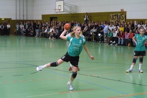 Handball Marktsteft/Rödelsee - 1. FC Nürnberg