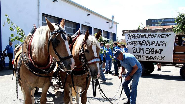 Am Bauhof ging die Reise los, die beiden Pferde Mirabell und Marille waren wie immer treue und zuverlässige Begleiter.