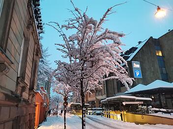 Bamberger Beh&ouml;rden appellieren an Bev&ouml;lkerung - "aktuelle Gefahrenlage"