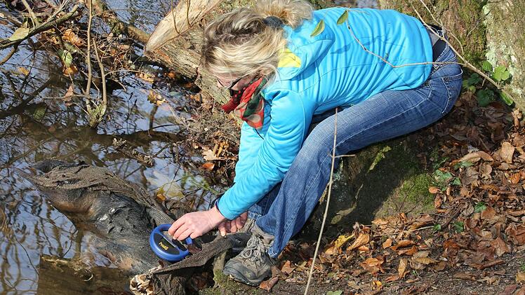 Tierheimleiterin Elke Pohl beim Versuch, den Chip des toten Hundes auszulesen.  Foto: Matthias Hoch