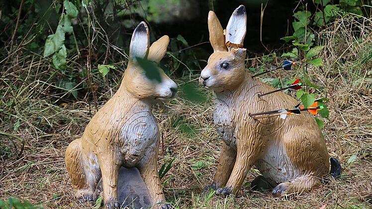 Nicht Amor, sondern die Bogenschützen trafen das Hasenpaar.