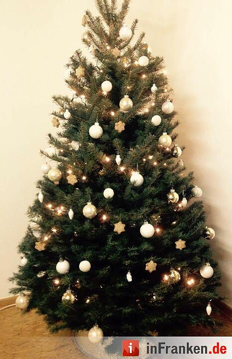 Weihnachten in Franken: Die Christbäume unserer Leser