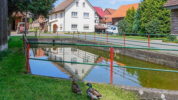 Au Weiher: Hier spiegelt sich das Dorfleben von Grattstadt.