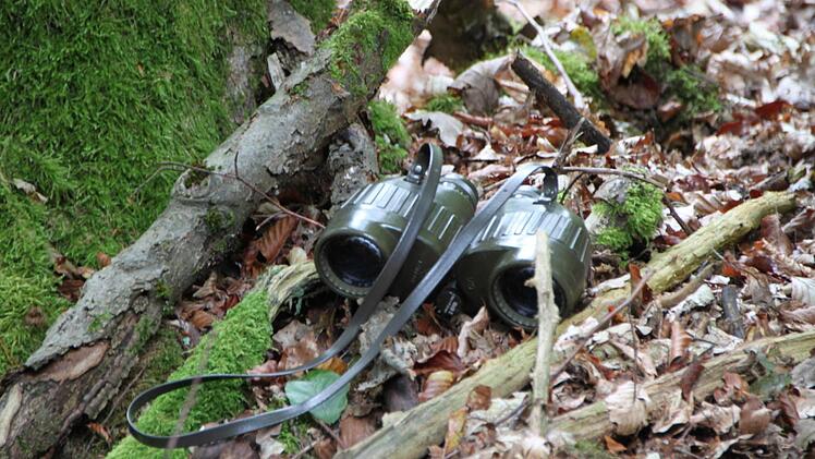 Der Forstbetrieb Bad Brückenau stellt sein Naturschutzkonzept vor. Foto: Ulrike Müller