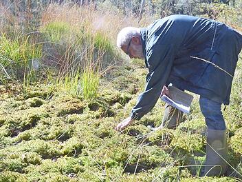 Frank Reißenweber untersucht die Pflanzen im Rottenbacher Moor.