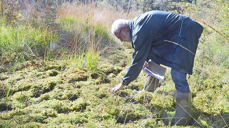Frank Reißenweber untersucht die Pflanzen im Rottenbacher Moor.