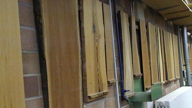 Die Sammlung der Holzarten Foto: Josef Hofbauer