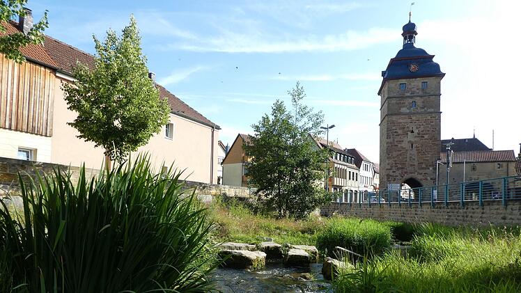 Wird als sehr gelungen bewertet: die naturnahe Hochwasserfreilegung in Bad Staffelstein. Foto: Markus Drossel