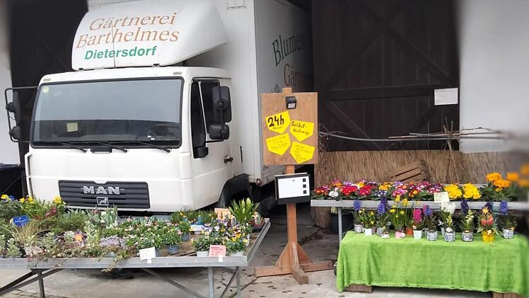 Dietersdorf: "Sunny Fruits"-Händler spricht Klartext - "weshalb Gemüse gerade so teuer ist"