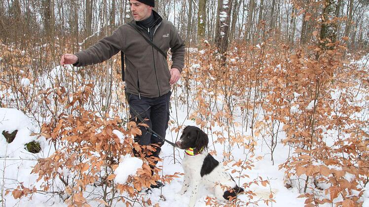 Jörg Mäckler freut sich über die viel versprechende Naturverjüngung. Foto: Heike Beudert