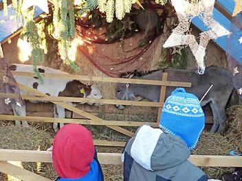 Kinder hielten sich besonders gern vor der Krippe auf. Foto: Pauline Lindner