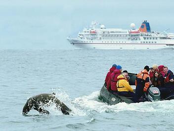 Tamara Aepfelbach (im Boot, Zweite von rechts) in Kamtschatka beim Cruising mit den Zodiacs. Foto: privat