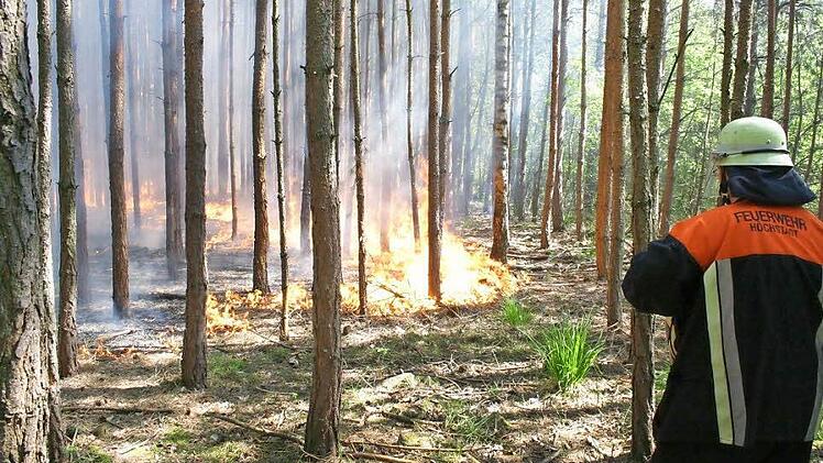 Das Archivbild zeigt einen Waldbrand in Höchstadt Süd. Die Ursache wurde damals nicht geklärt.  Foto: Andreas Dorsch