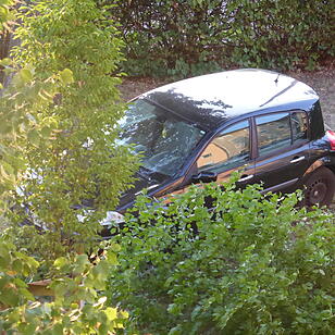 Betrunkener rast in Bamberger Vorgarten