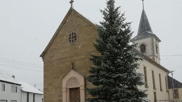 Der Christbaum bei Schnee am Tag. Foto: Marco Hornung