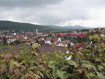 "Es tut gut, dass Ebermannstadt in der Vergangenheit schon viele zukunftsweisende Investitionen getätigt hat", fand Dritter Bürgermeister Rainer Schmeußer. Als Beispiele listete er die Schulsanierung, die Sanierung der Altstadt, den Bau der Stadthalle, die Dorferneuerungsmaßnahmen und die Hochwasserfreilegung auf.  Foto: Josef Hofbauer