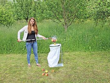 Die im Auflesegerät gesammelten Früchte lassen sich einfach in einen anderen Behälter umfüllen.