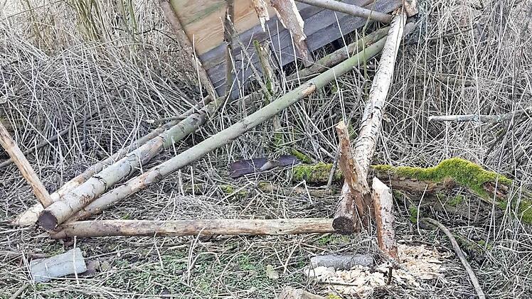 Erfolgreich gefällt: Der angeknabberte Hochsitz eines Jägers an der Baunach zwischen Pfarrweisach und Lohr. Foto: Ulrich Kuhn
