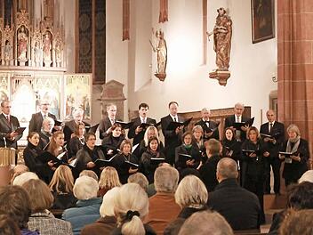 Der Kammerchor Ebern unter der Leitung von Ulrike Zeidler bewies am Sonntag in der Pfarrkirche St. Laurentius, wo unser Bild entstand, und der Lahmer Schlosskirche seine hohe musikalische Qualität.  Foto: Becht