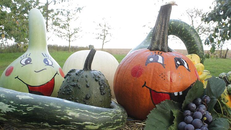 Zwischen September und November ist auf dem Kunzelmann-Hof alles auf Kürbis ausgelegt.Markus Häggberg