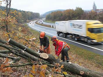 An der Autobahn zwischen der Anschlussstelle Neudrossenfeld und dem Autobahndreieck Bayreuth/Kulmbach laufen umfangreiche Rodungsarbeiten. Im Hintergrund ist die eingerüstete Harsdorfer Kirche zu sehen.  Fotos: Jürgen Gärtner