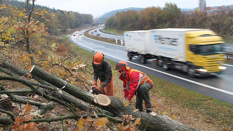 An der Autobahn zwischen der Anschlussstelle Neudrossenfeld und dem Autobahndreieck Bayreuth/Kulmbach laufen umfangreiche Rodungsarbeiten. Im Hintergrund ist die eingerüstete Harsdorfer Kirche zu sehen.  Fotos: Jürgen Gärtner