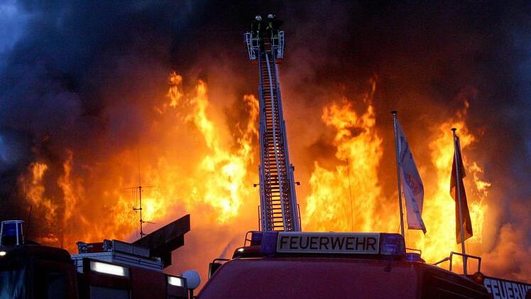 Foto: News5 / Herse