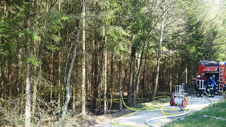 Die Feuerwehr musste am Ostermontag, 22.04.2019, vier Brände im Kreis Nürnberger Land löschen. Bei Hartenstein standen rund 5000 Quadratmeter Wald in Brand. Foto: NEWS5 / Holzheimer