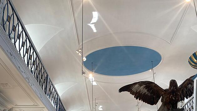 Der Vogel-Saal im Bamberger Naturkunde-Museum.