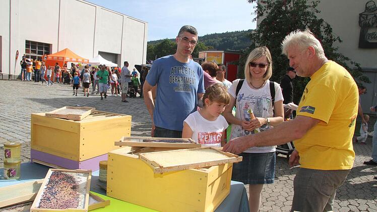 Imker Heinrich Witzgall aus Stadtsteinach erklärte alles rund um Bienen. Foto: Sonja Adam