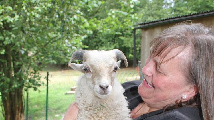 Pfarrerin Heidrun Hemme liebt Tiere - ihre kleinen Ouessantschafe und das B&ouml;ckchen lassen sich sogar auf den Arm nehmen.