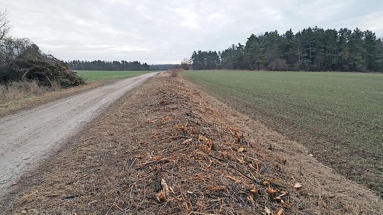 Hier wurde eine biotopkartierte Hecke auf städtischem Grund unsachgemäß entfernt. Foto: Christian Kier