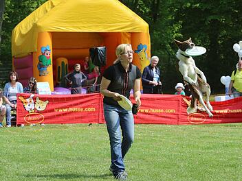 Zum dritten Mal fand am Wochenende in Bamberg der "Husse Dog Day" statt. Auch in diesem Jahr wurde ein vielfältiges Programm für die Zusammenkunft der Bamberger Hundeszene geboten. Fotos: Barbara Herbst