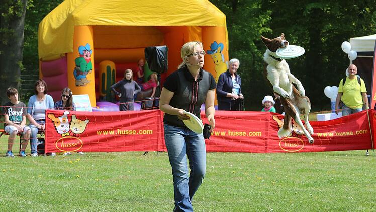 Zum dritten Mal fand am Wochenende in Bamberg der "Husse Dog Day" statt. Auch in diesem Jahr wurde ein vielfältiges Programm für die Zusammenkunft der Bamberger Hundeszene geboten. Fotos: Barbara Herbst