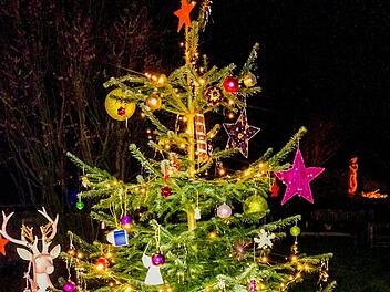 Der fremdgeschm&uuml;ckte Baum von Familie Martin  Foto: privat
