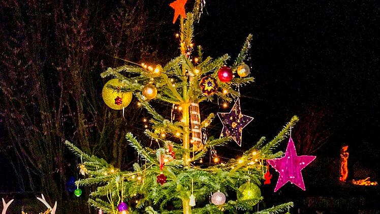 Der fremdgeschm&uuml;ckte Baum von Familie Martin  Foto: privat