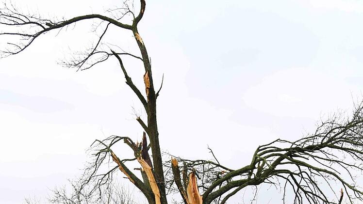 Sturmschäden zwischen Kunreuth und Weingarts Foto: Franz Galster