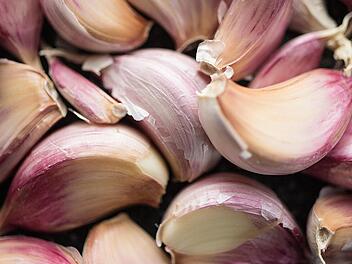Lieber frisch: So entfaltet Knoblauch seine gesundheitlichen Vorteile am besten.