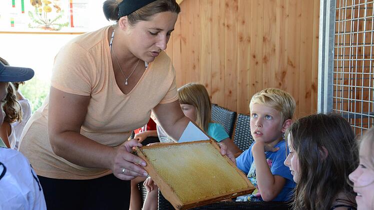 So sehen die Waben aus  Foto: Elisabeth Assmann
