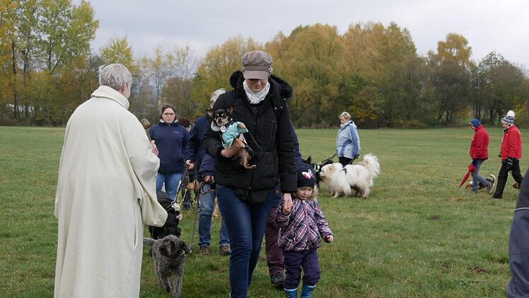 Großen Segen auch für kleine Hunde-Winzlinge  Foto: Manja von Nida